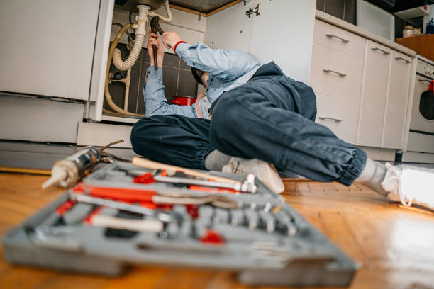 Best Local Plumber Services  in Lindstrom, MN